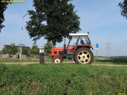 ws 209